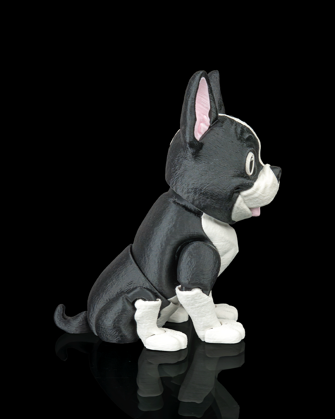 Pierre the French Bulldog — ángulo superior