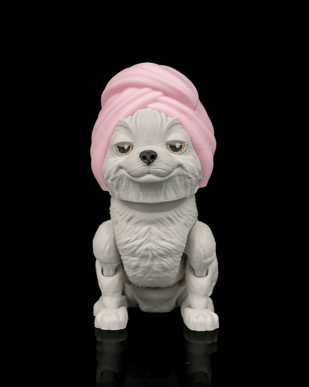Princess The Shih Tzu — perspectiva