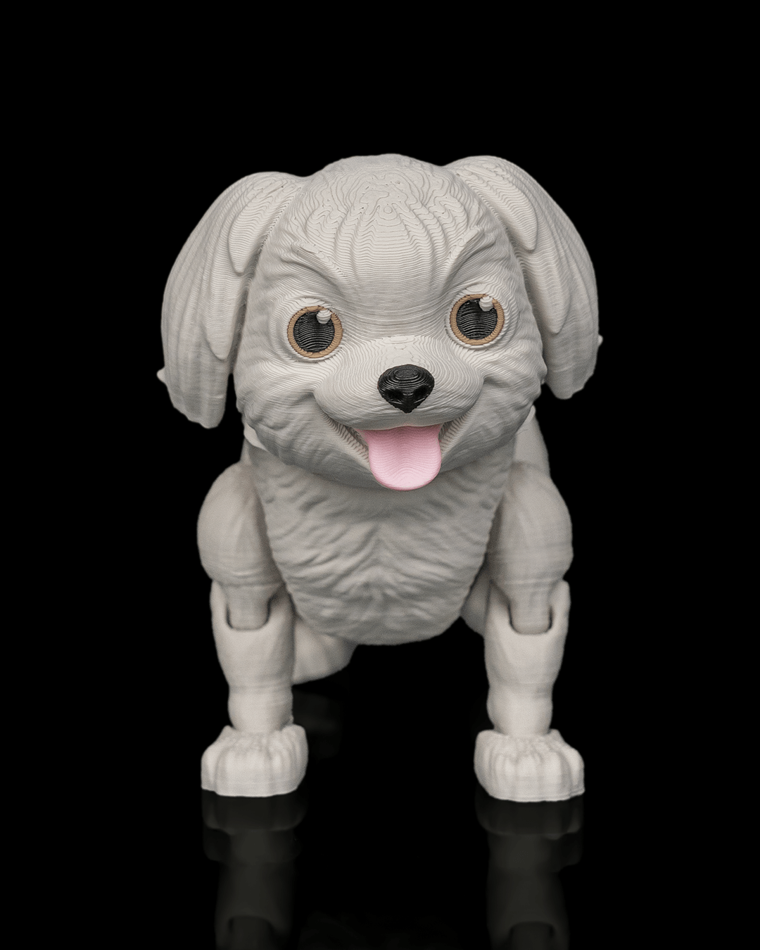 Princess The Shih Tzu — escala