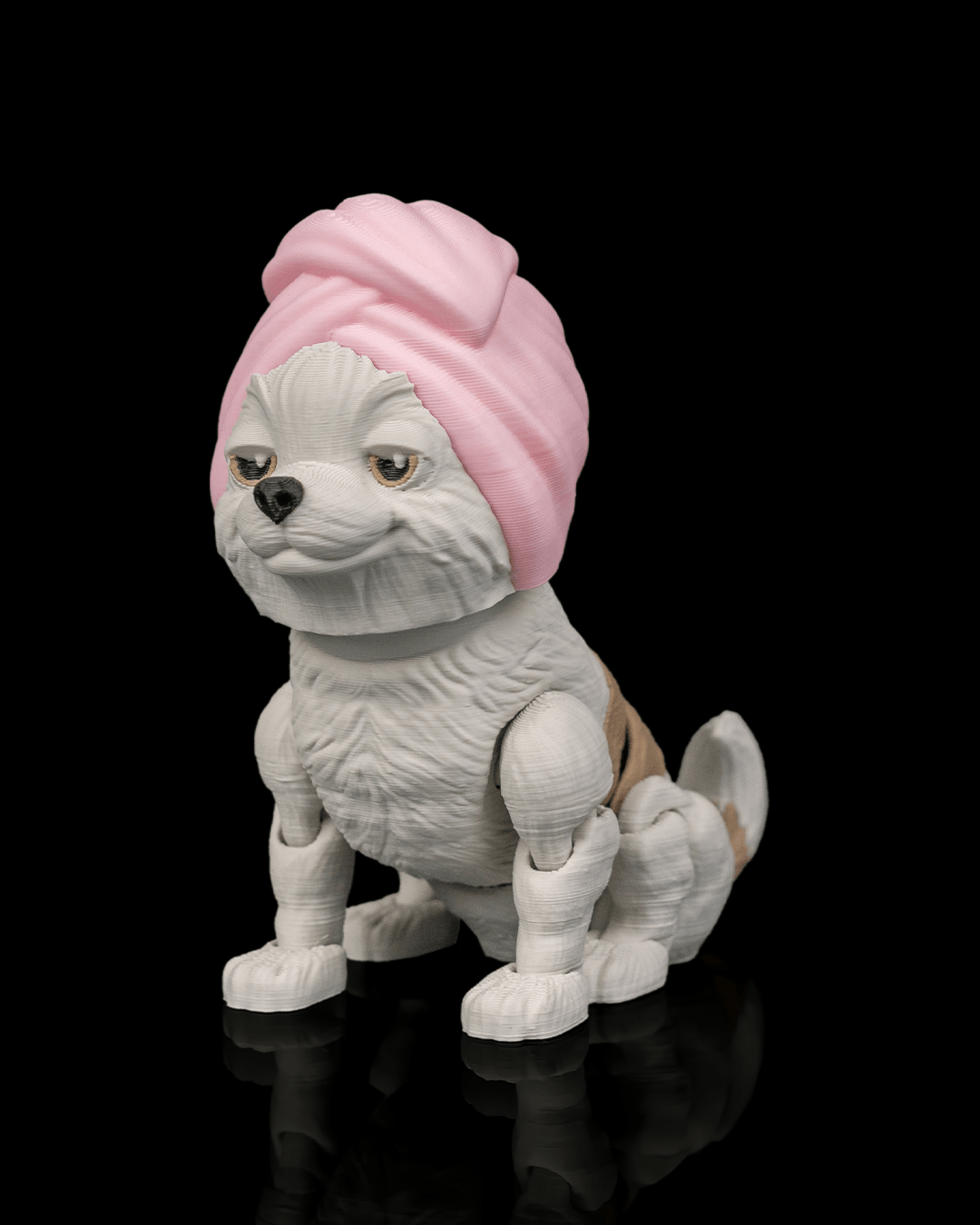 Princess The Shih Tzu — lateral