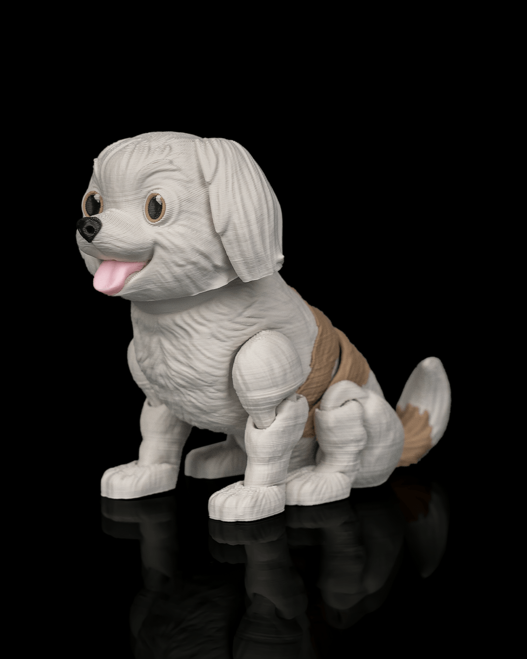 Princess The Shih Tzu — trasera