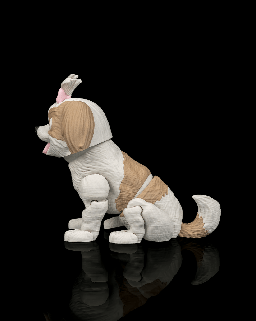Princess The Shih Tzu — conjunto