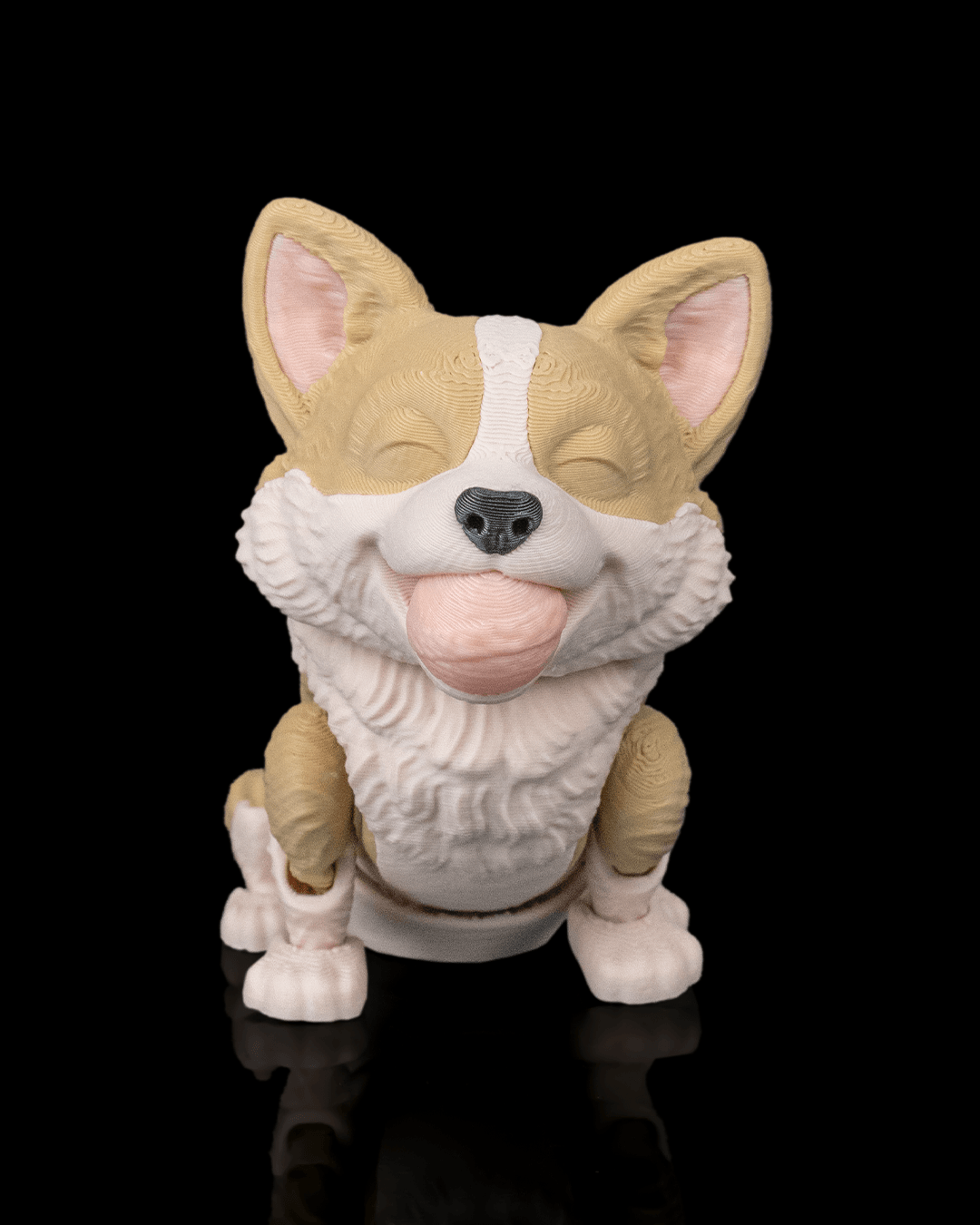 Willow the Corgi