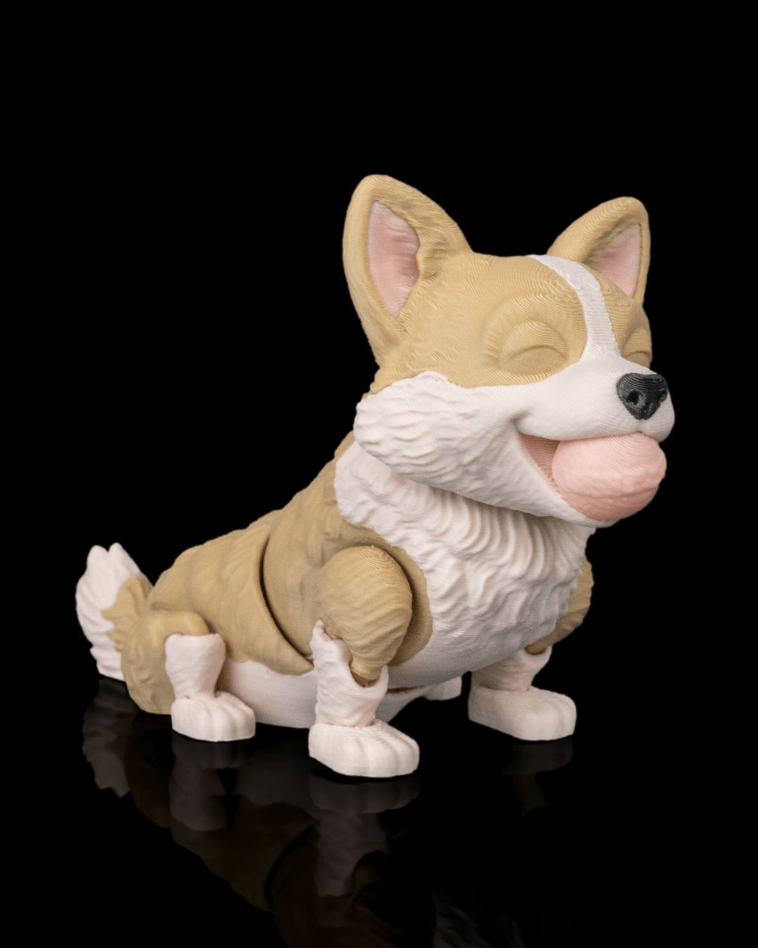 Willow the Corgi — pose alternativa