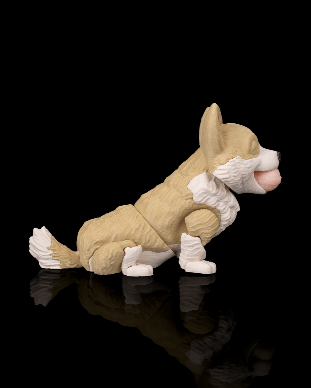 Willow the Corgi — detalle pelaje