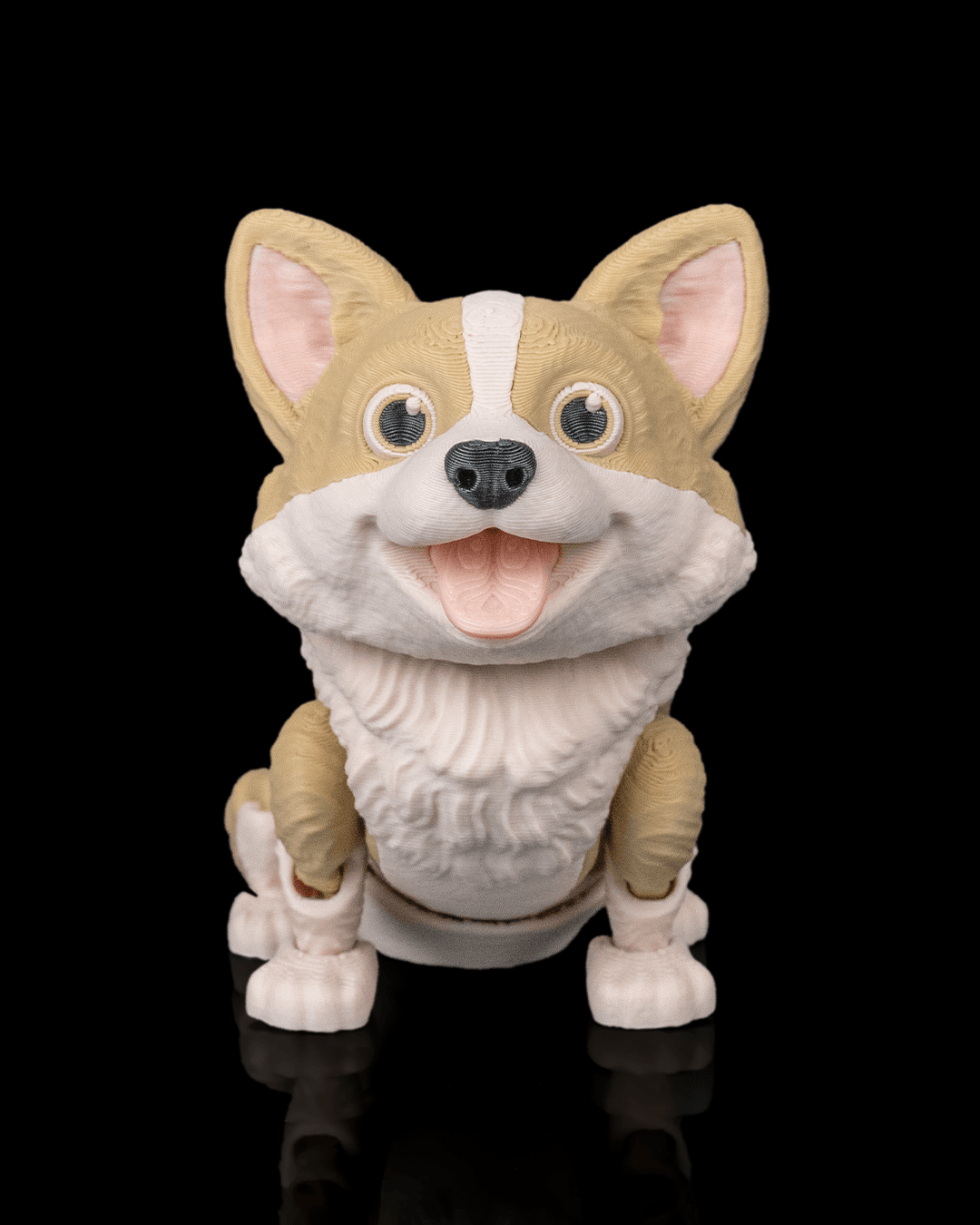 Willow the Corgi — vista lateral