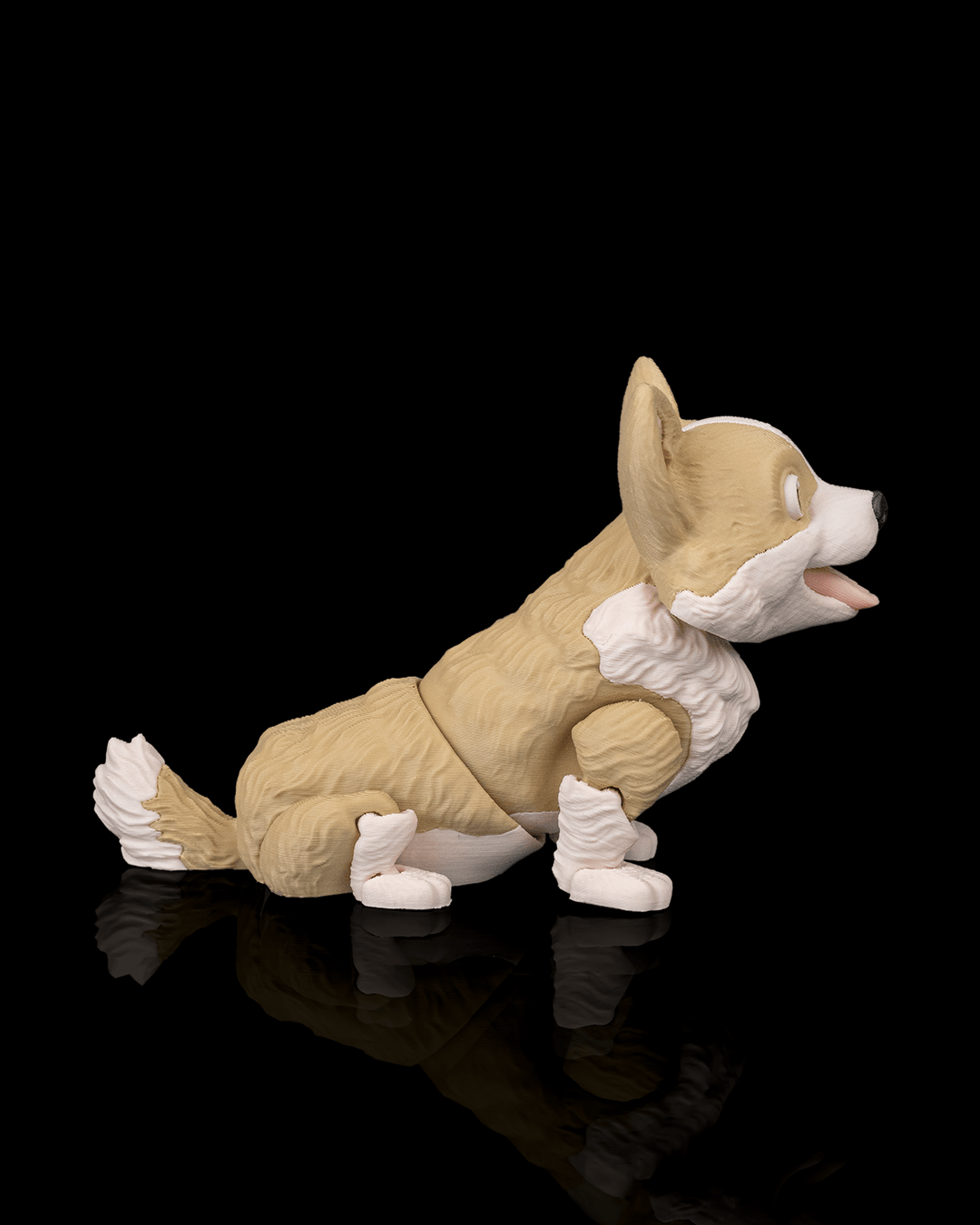 Willow the Corgi — perspectiva colección