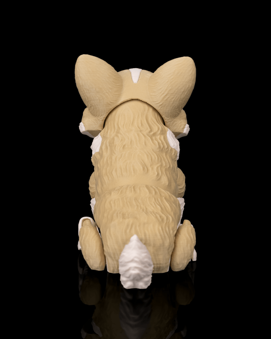 Willow the Corgi — presentación colección