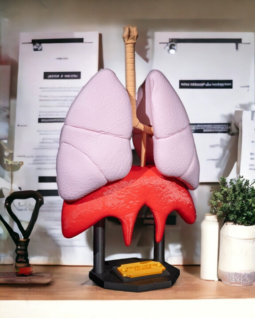 Lung Model