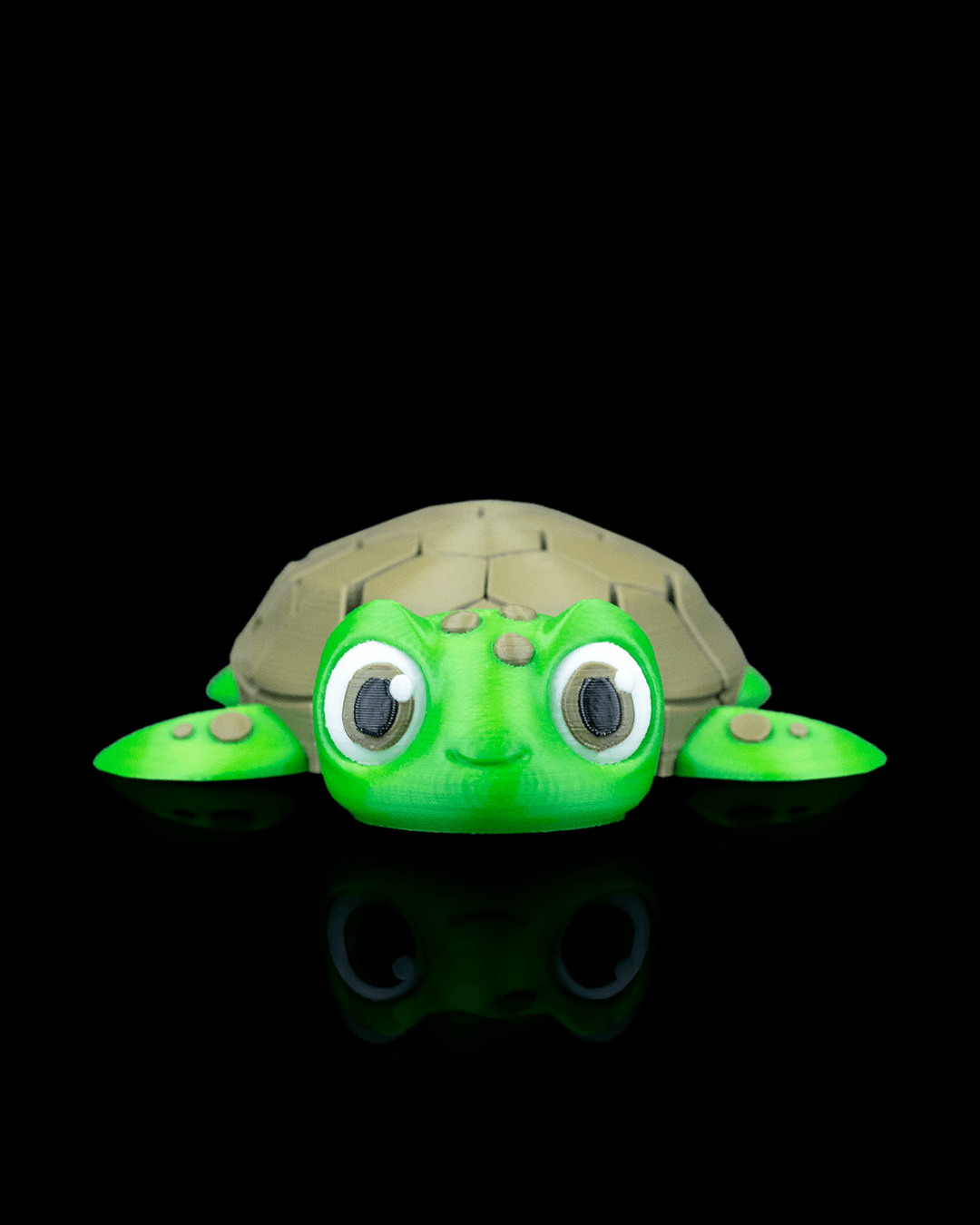 Myrtle the Turtle — detalle caparazón