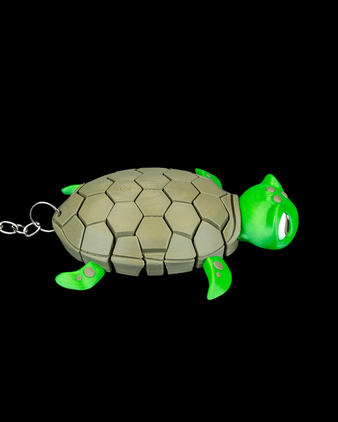Myrtle the Turtle — vista lateral