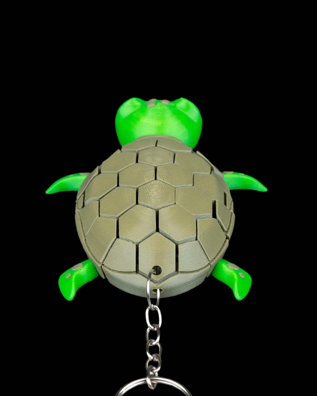 Myrtle the Turtle — acabado premium