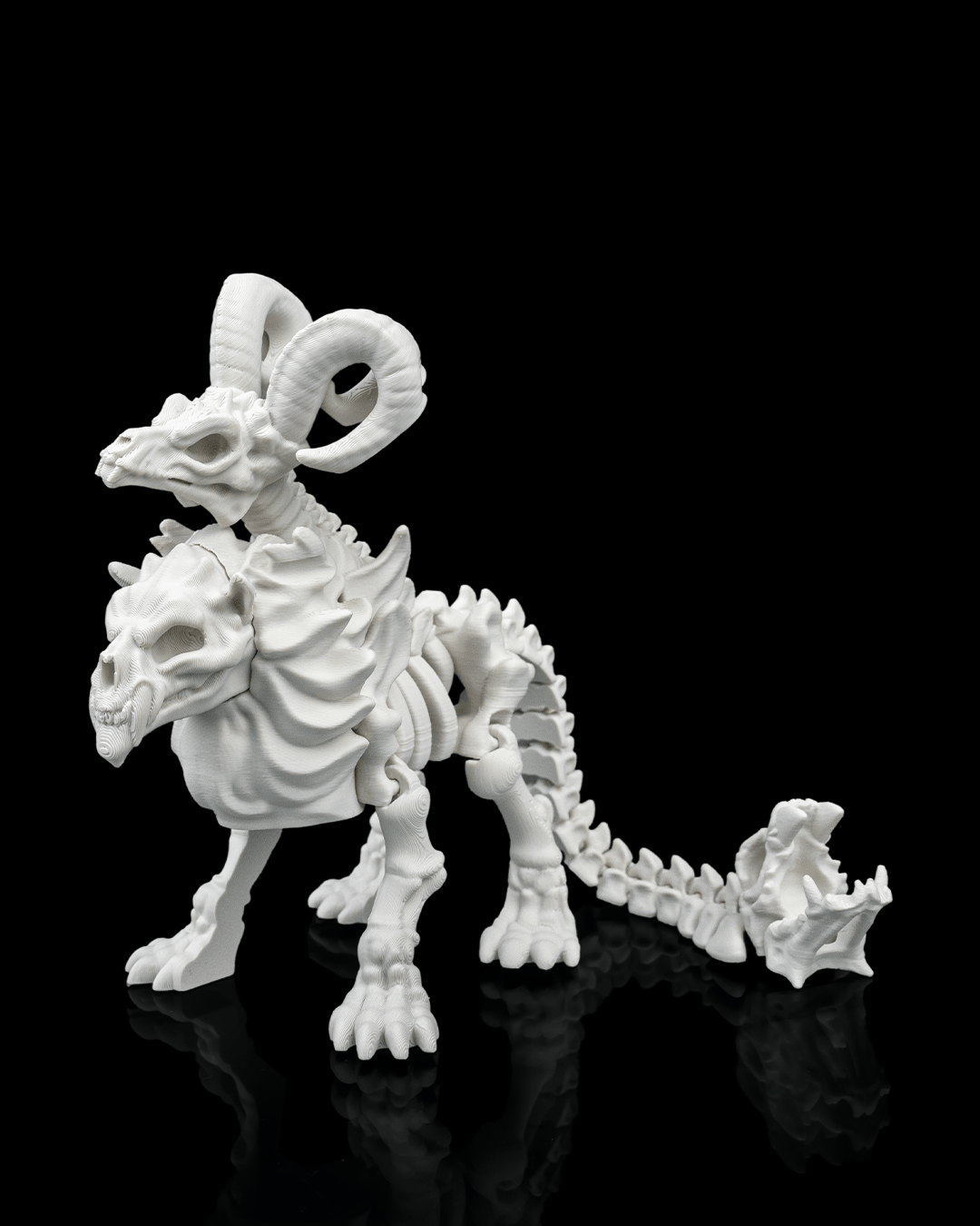 Chimera Skeleton — detalle cabeza