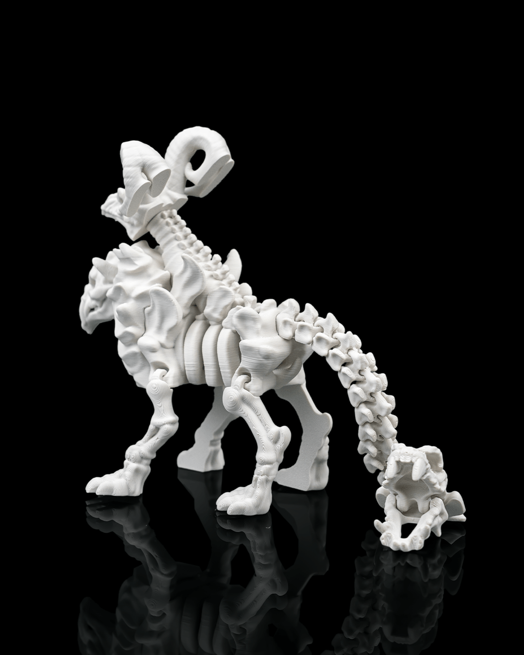 Chimera Skeleton — vista trasera