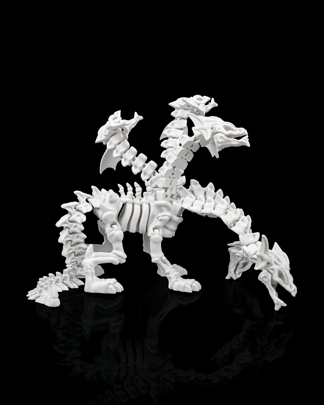 Hydra Skeleton — vista trasera