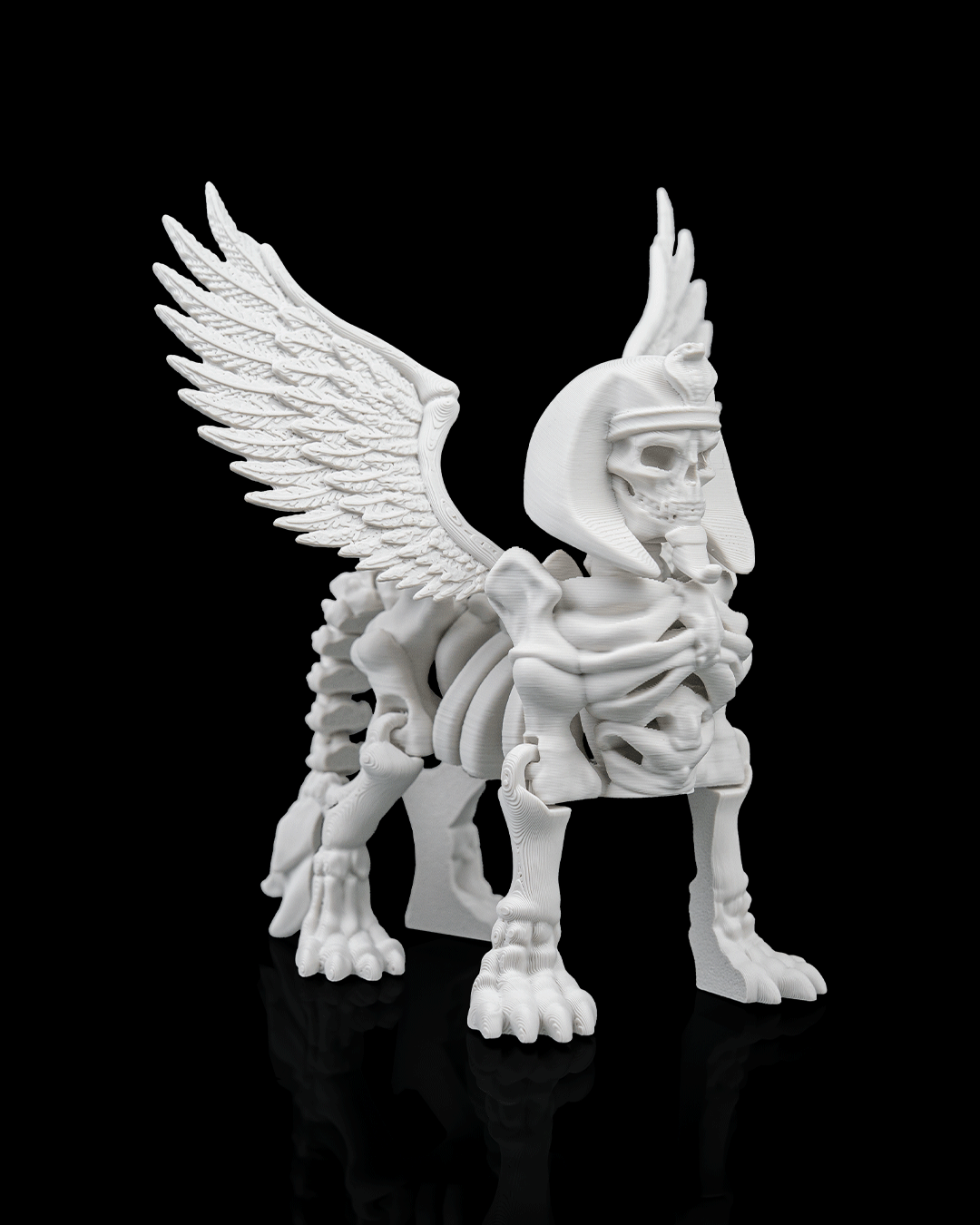 Sphinx Skeleton — vista trasera