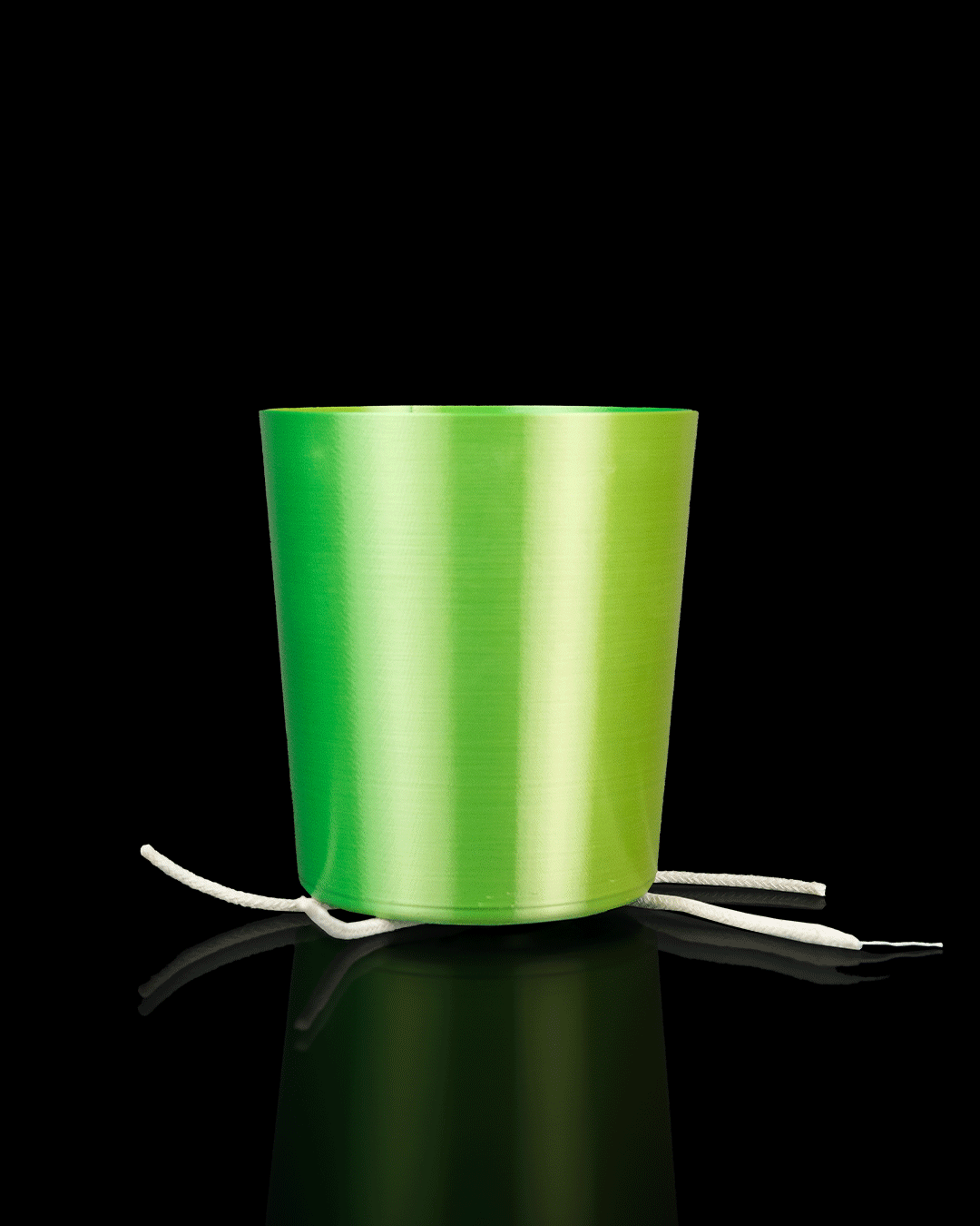 Bioforge Planter — composición con suculenta