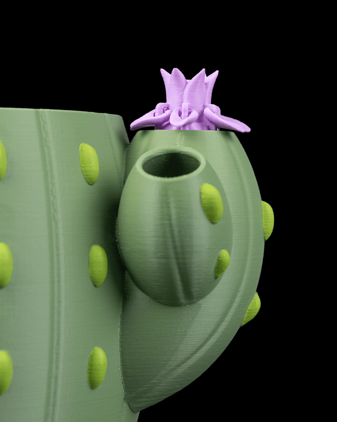 Bloom Signal Planter — gradiente botánico