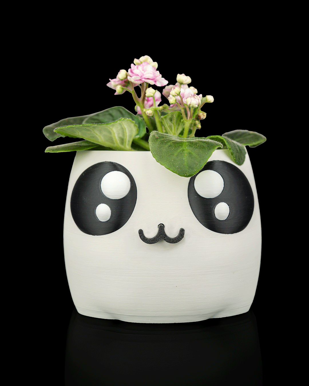 Bloop Face Planter