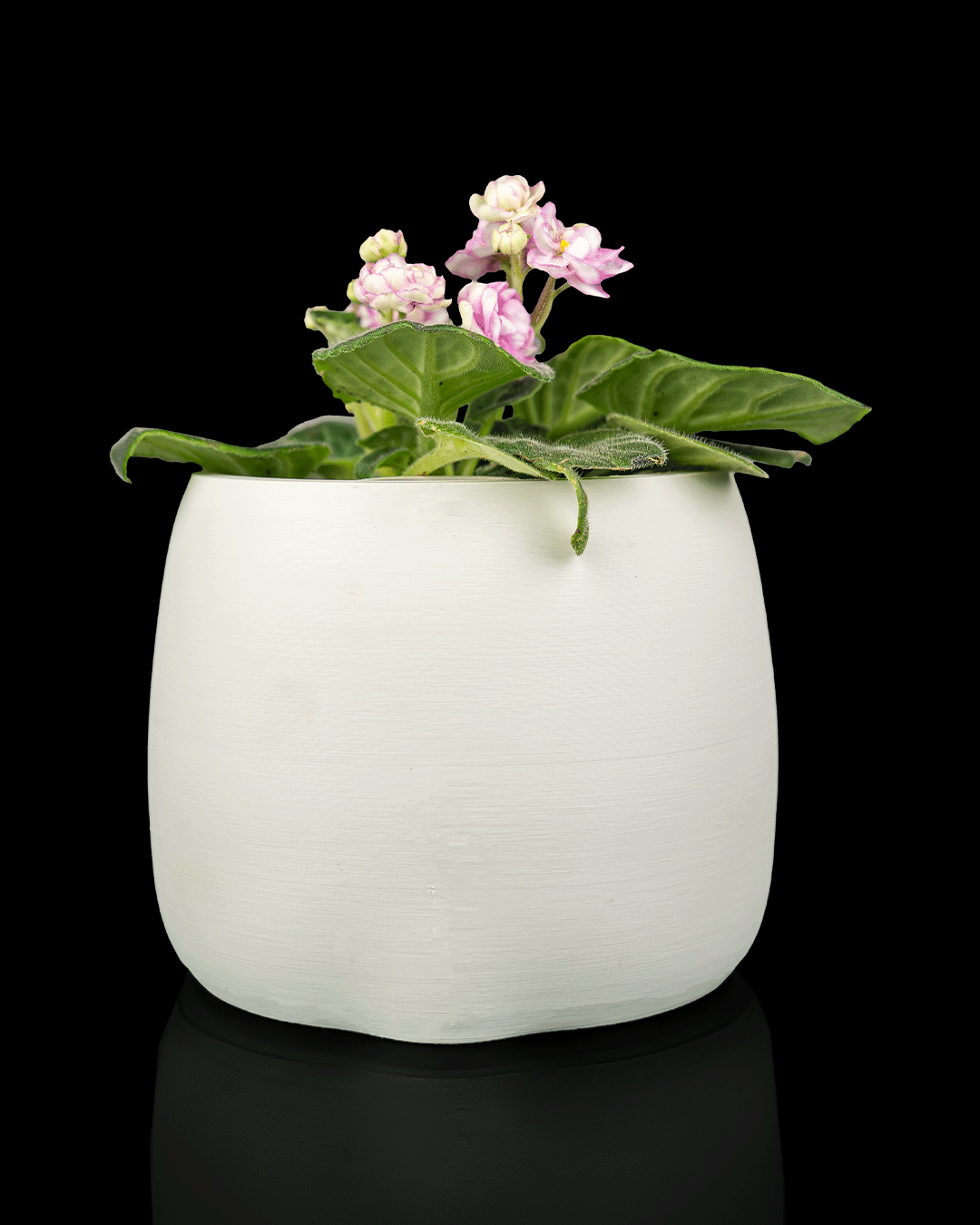 Bloop Face Planter — perfil lateral