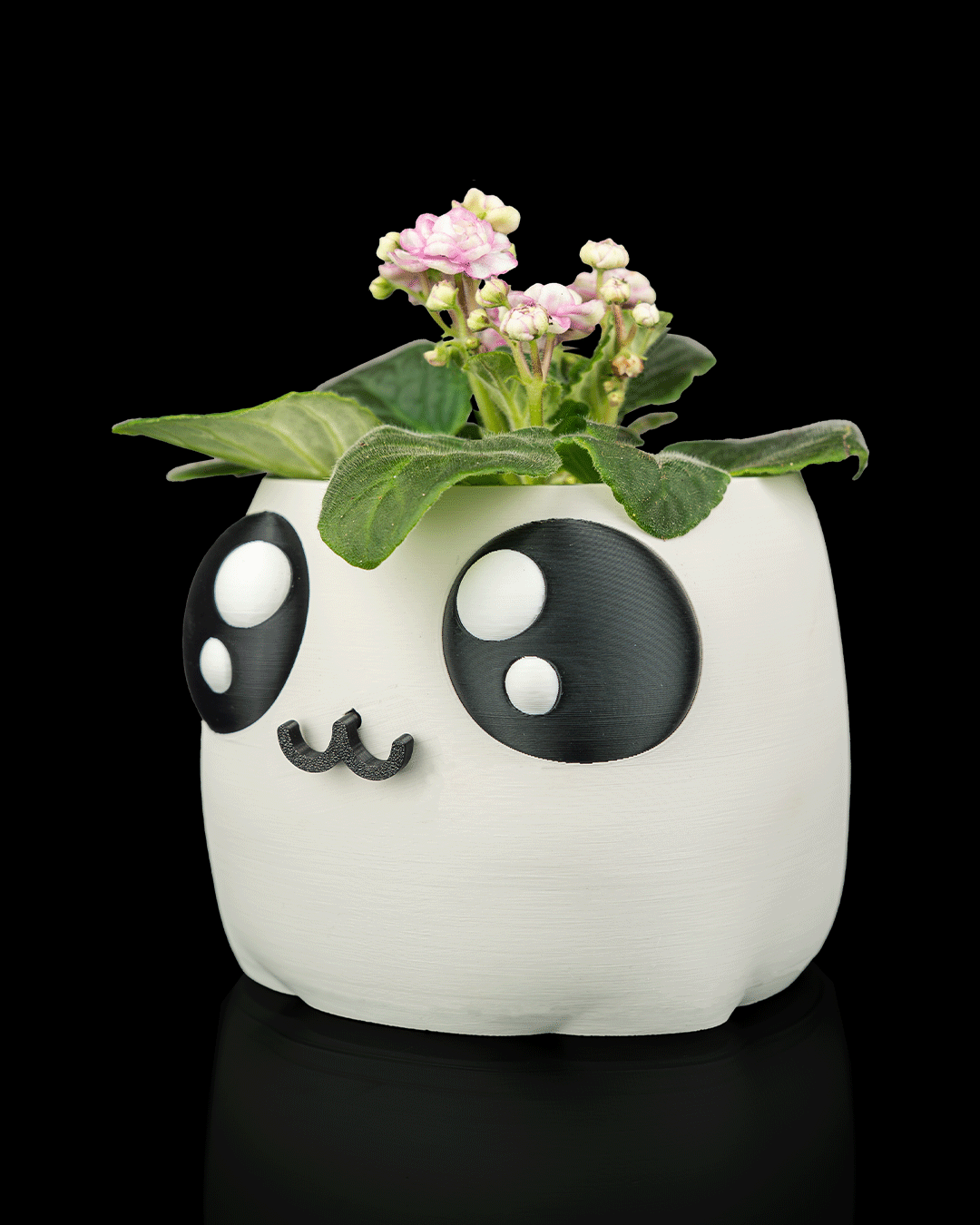 Bloop Face Planter — composición con planta