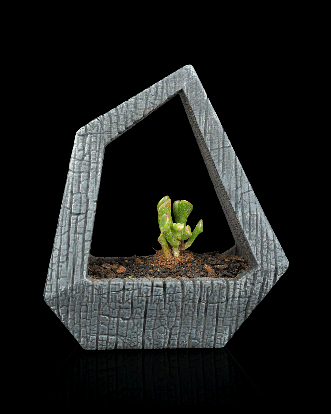Obsidian Frame Self-Watering Planter