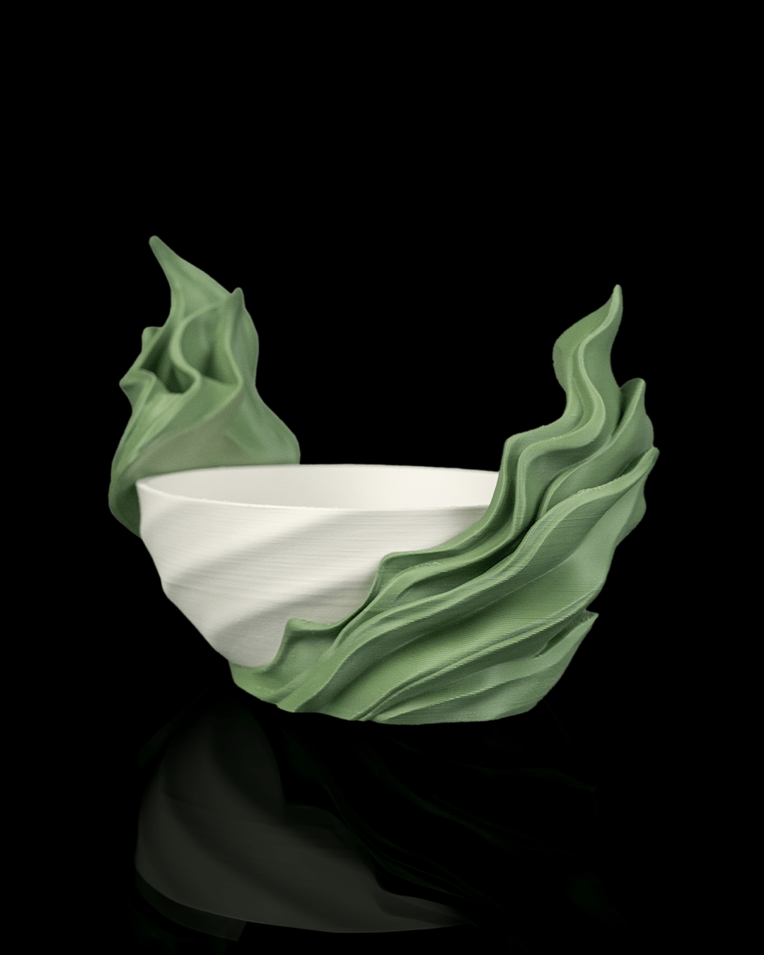 Seaweed Flow — perfil con suculenta